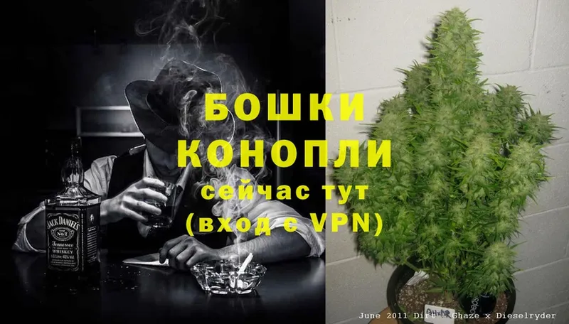 мега онион  закладка  Касимов  Каннабис Ganja 